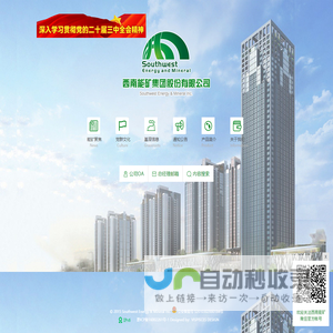 西南能矿集团股份有限公司
